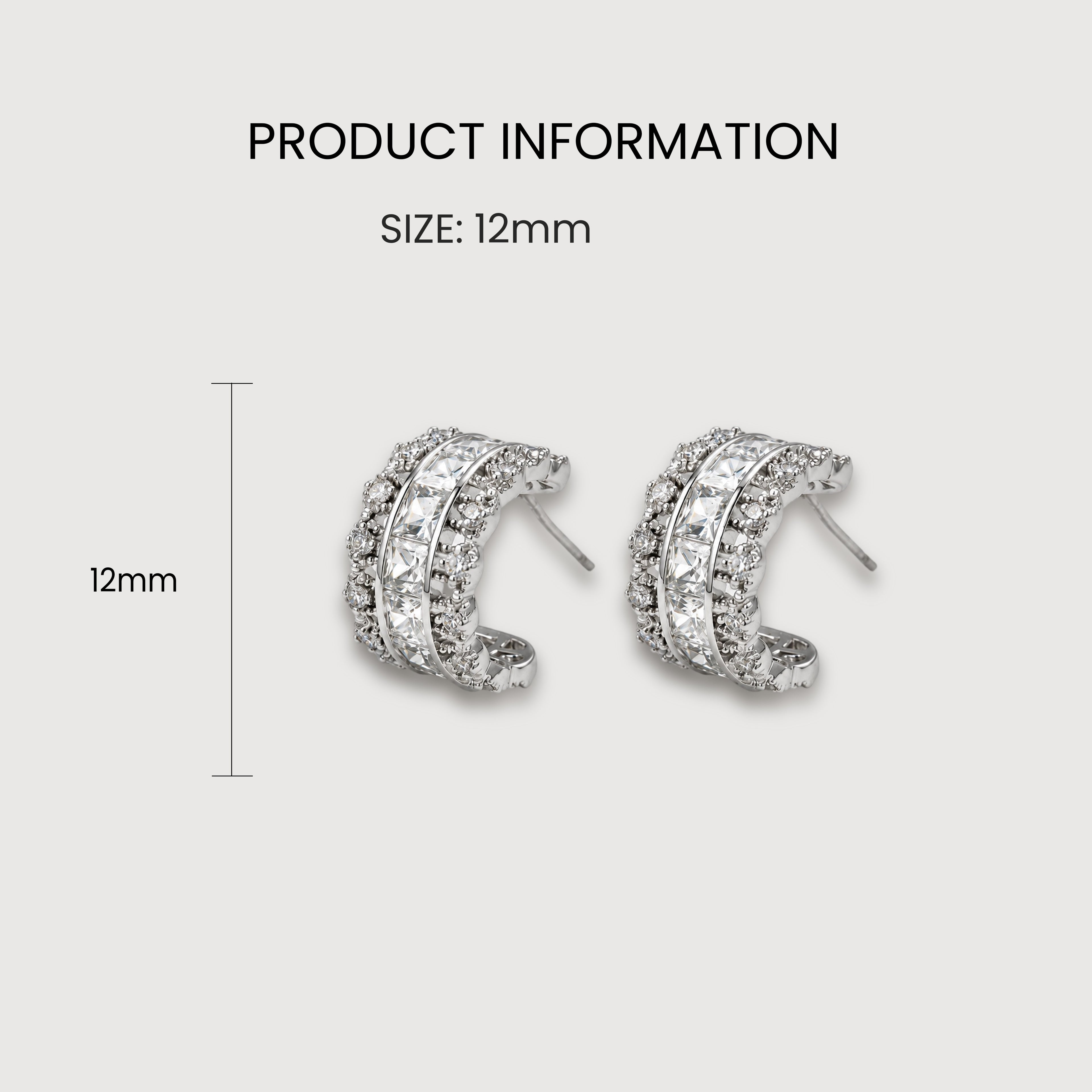 Luxe Zircon Hoop Earrings