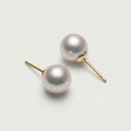 Exquisite Pearl Stud Earrings