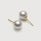 Exquisite Pearl Stud Earrings